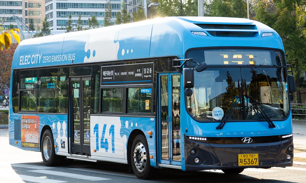 부산 141번 버스 노선