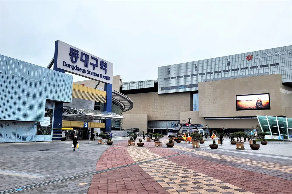 동대구터미널 예매