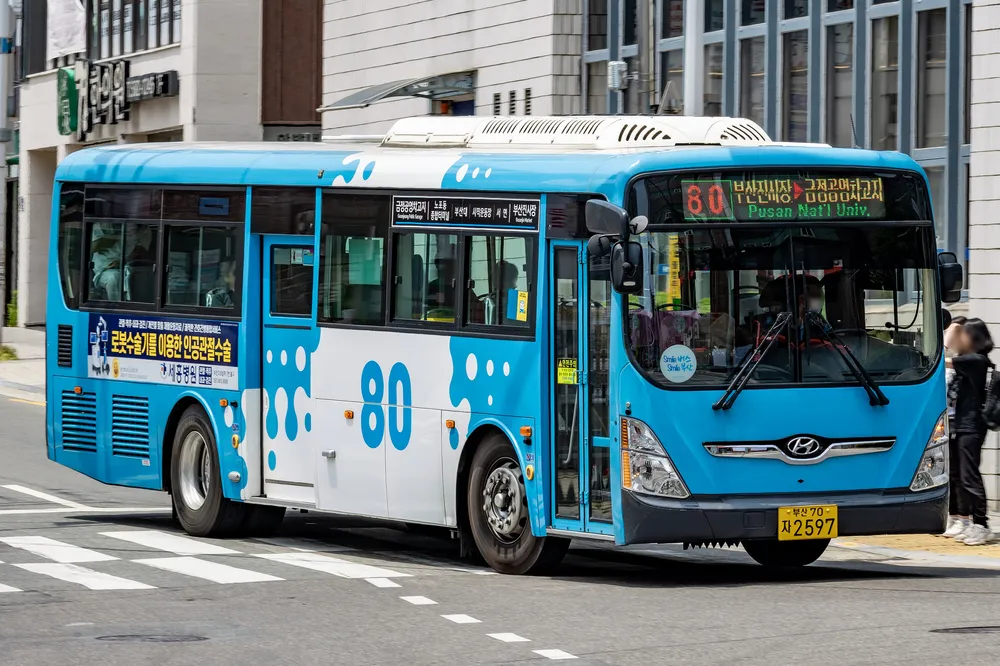 부산 80번 버스 노선